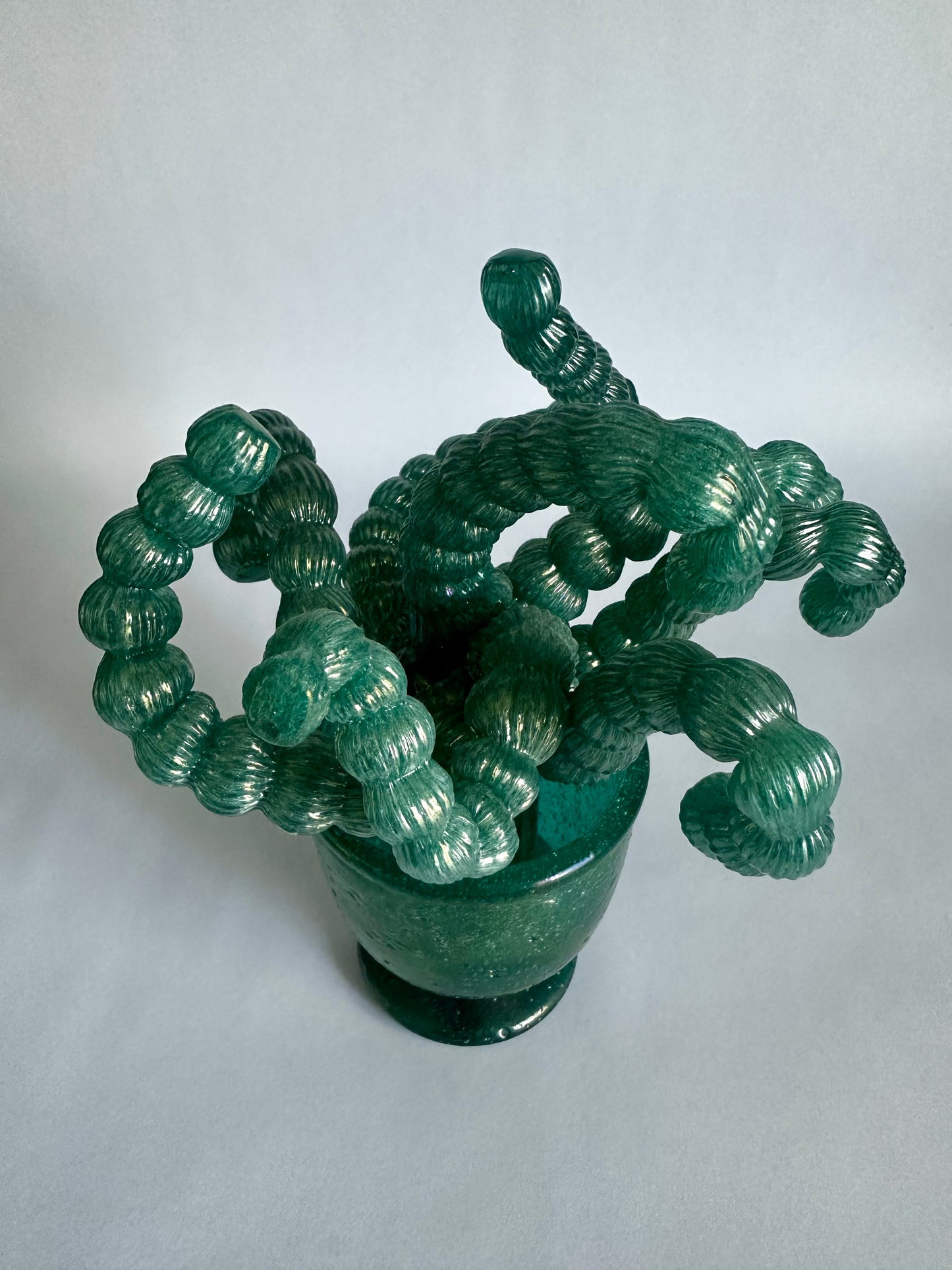 Cactus in vetro di Murano Napoleone Martinuzzi Venini