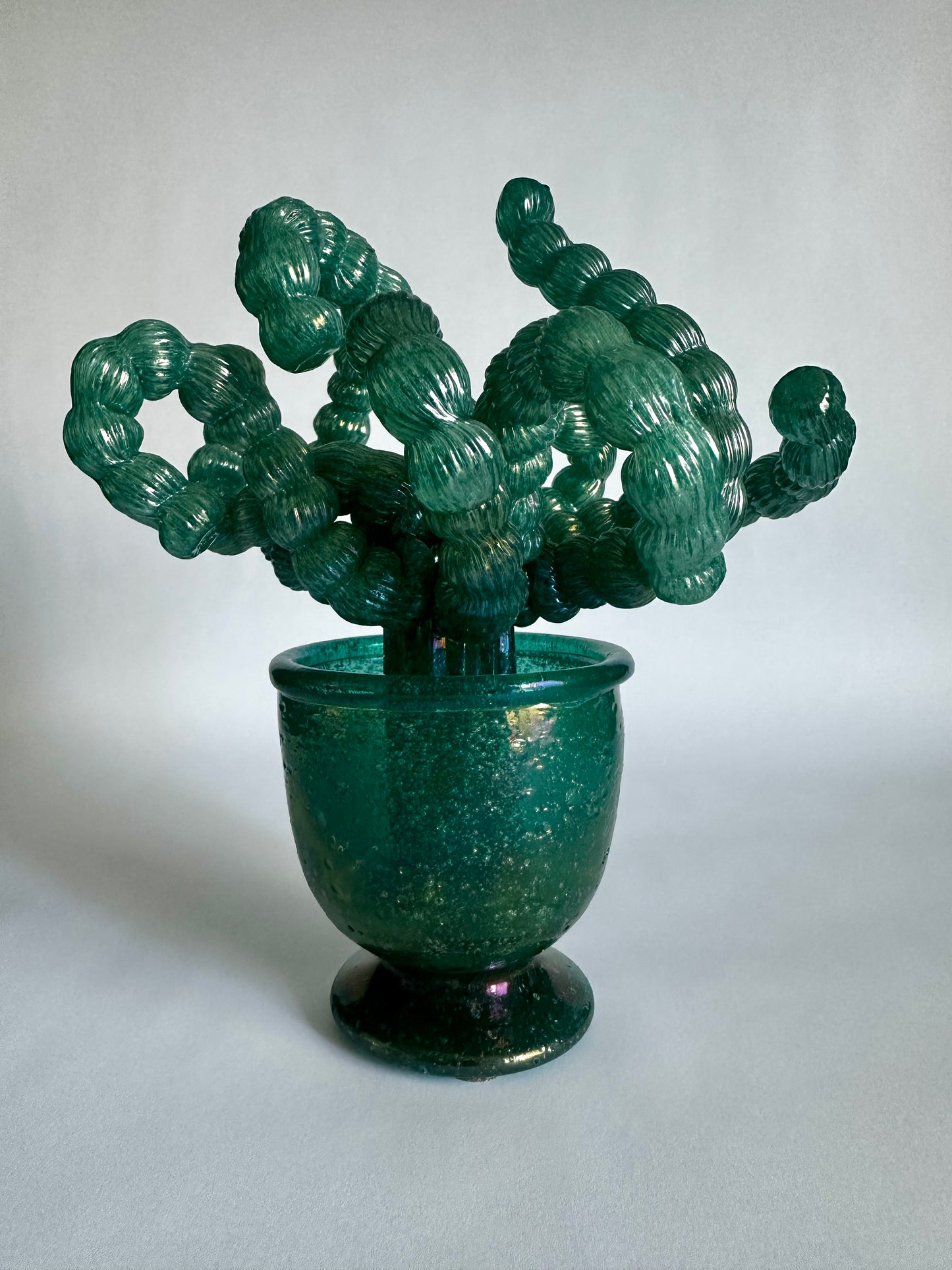 Cactus in vetro di Murano Napoleone Martinuzzi Venini